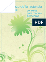 7 16b Breastfeeding Spanish PDF