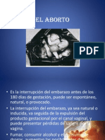 Expo Del Aborto