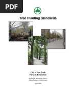 Toronto Tree Protection Guidelines | PDF | Pruning | Trees