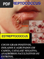 4 ESTREPTOCOCOS
