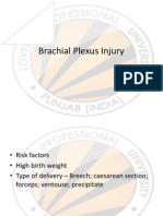 Brachial Plexus Injury