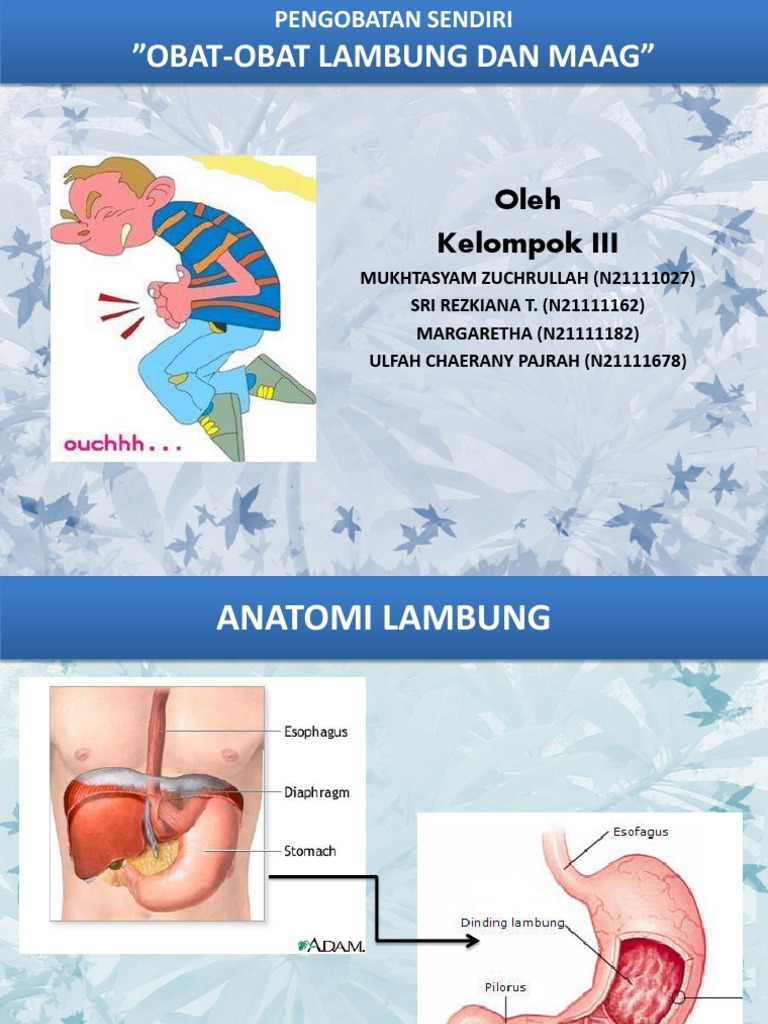 Obat  obat  lambung   Obat  obat  lambung