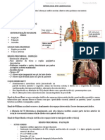 Semiologia em Cardiologia