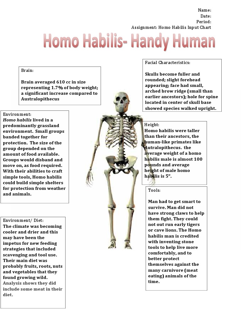 Australopithecus picture