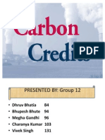 Carbon Credits Final Presentation 1