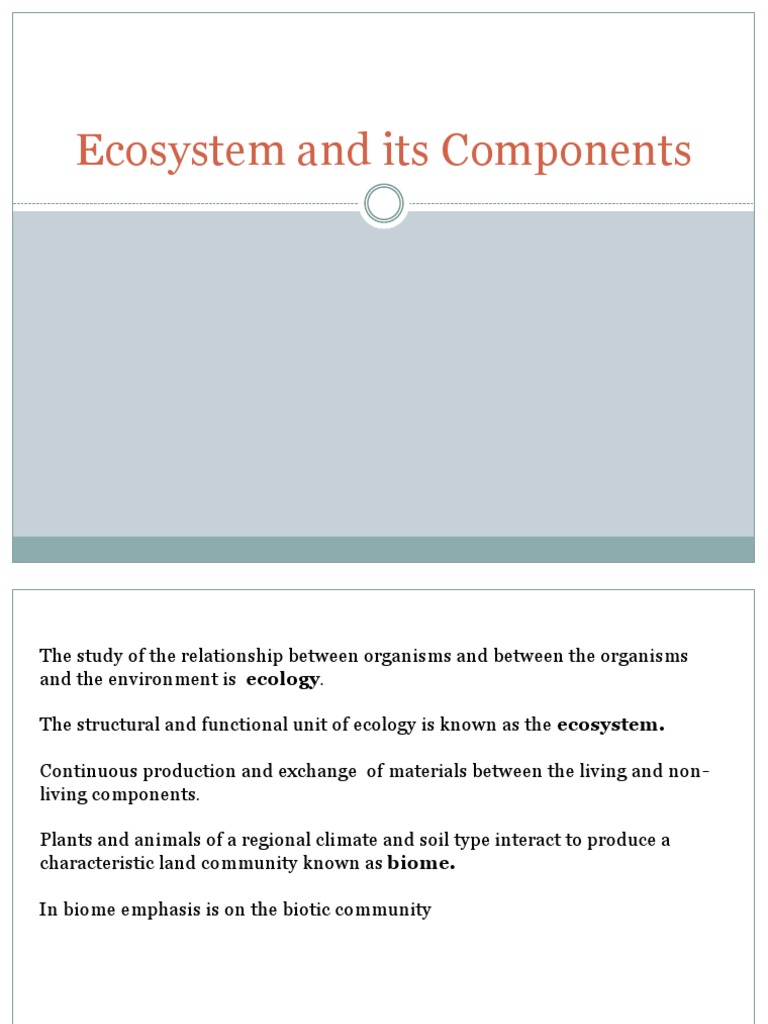 Ecosystem Components Explained | PDF | Food Web | Ecology