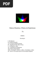 DOUTRINA E PRÁTICA DO ESPIRITISMO - LEON DENIS