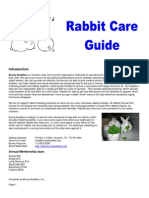 Rabbit Care Guide