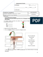 Teste Plantas13periodo