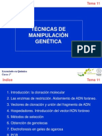 Tema 11 Biologia Molecular