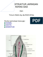 Ikg-08 Slide Biologi Struktur Jaringan Keras Gigi