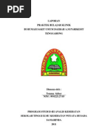 Download Laporan Resmi Praktek Belajar Klinik II Di RSUD aM Parikesit Tenggarong by TomMy Charming SN128079741 doc pdf