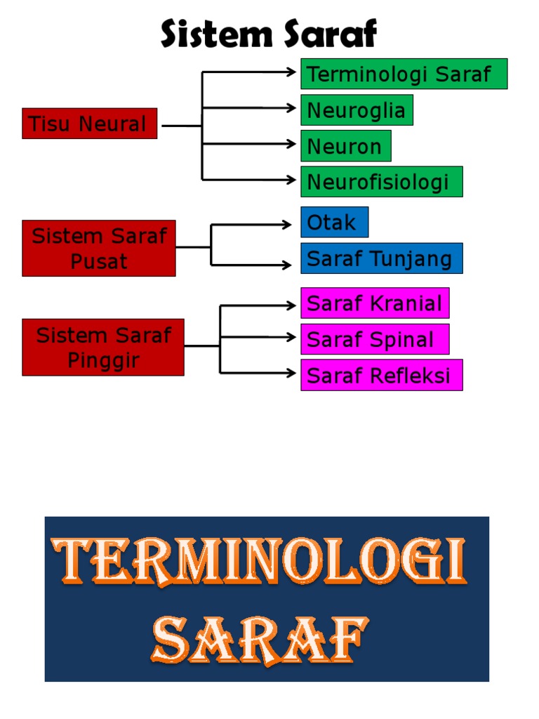 Tisu Neural Neurofisiologi Neuron Neuroglia Terminologi Saraf Tisu Neural Neurofisiologi Neuron Neuroglia Terminologi Saraf