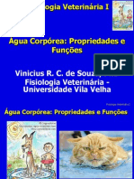 Aula - 3 - Água Corpórea