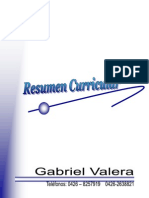 Curriculum Vitae Gabriel Valera