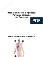 Mapa Anatomico de La Apiterapia