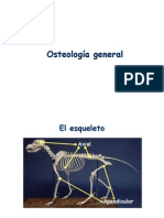 Modulo 1 - Osteoartro general.pdf