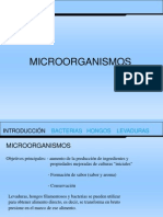 Tipos de Microorganismos