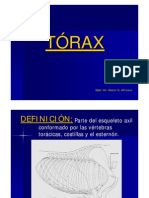 Torax