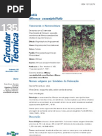 Aspectos Gerais Sansao Do Campo (1)