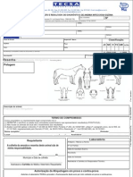 Formulario PARA a.I.E.