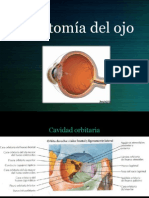 Anatomía Del Ojo