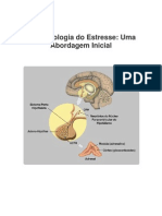 4. Neurobiologia Do Estresse