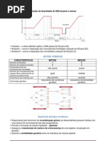 Variacao Quantidade DNA Meiose