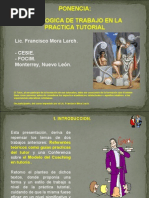 28.Una lógica de trabajo en la práctica tutorial