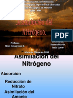 Presentación Ciclo Del Nitrogeno