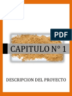 CARATULA CAPITULO 1