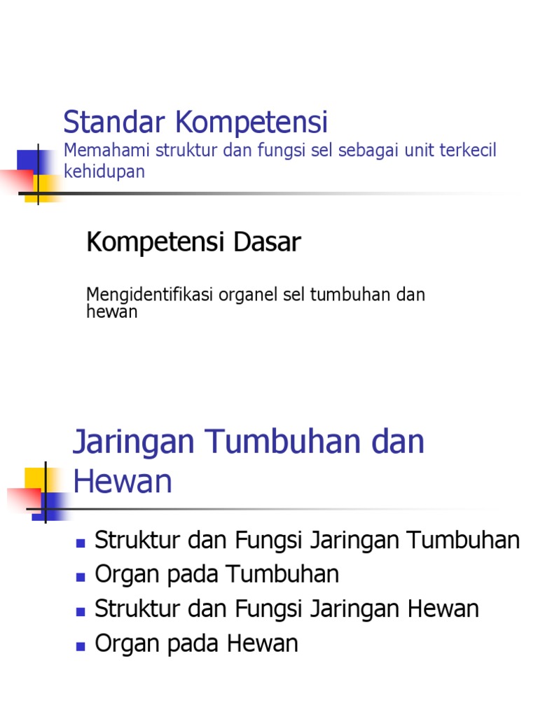 2 Jaringan  Tumbuhan  Dan  Hewan 
