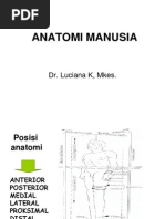 Download anatomi manusia by Bibir Penuh Makna SN128207533 doc pdf
