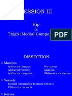 Session Iii: Hip & Thigh (Medial Compartment)