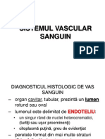 Sistemul Vascular.2013 Final