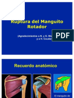 41464437 Manguito de Los Rotadores