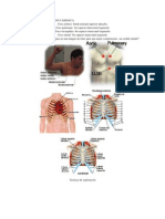 54742112-semiologia