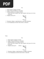 Test 5 Organe Vegetative