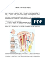 Anatomia y Fisiologia Renal