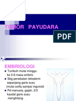 Tumor Payudara