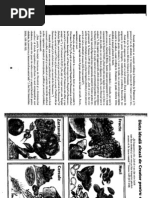 Carte de bucate herghelia download