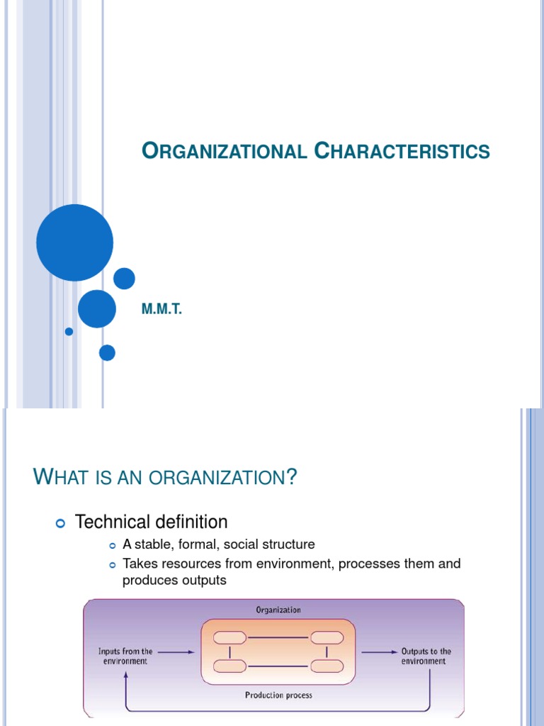 Key Characteristics of Organizations | PDF | Strategic Management ...