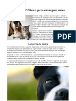 Curiosidade Ciêntifica PDF