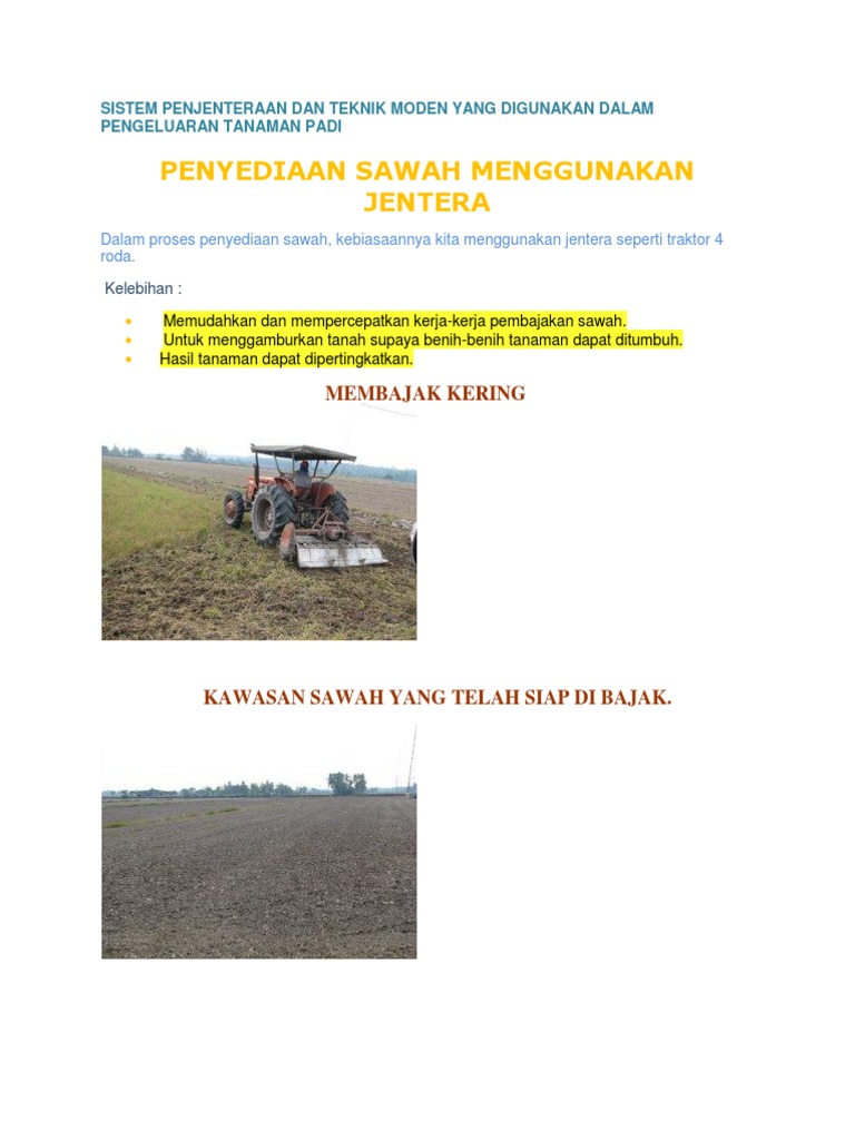 Penanaman Padi