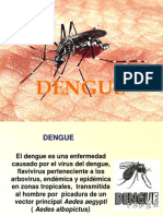 Dengue 2013