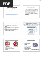 Acute Coronary Syndrome Overview | PDF | Myocardial Infarction ...