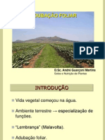 Adubação Foliar