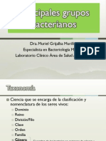 Tema 3 Principales Grupos Bacterianos