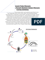 Parasit Pada Manusia