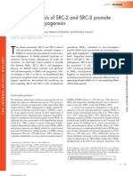 Homeostatic Levels of SRC-2 and SRC-3